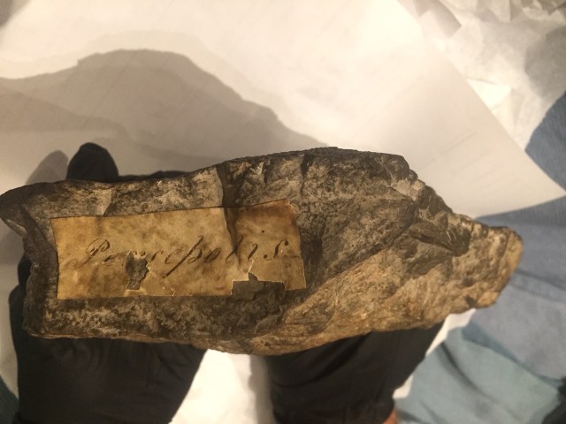 Strachey original label